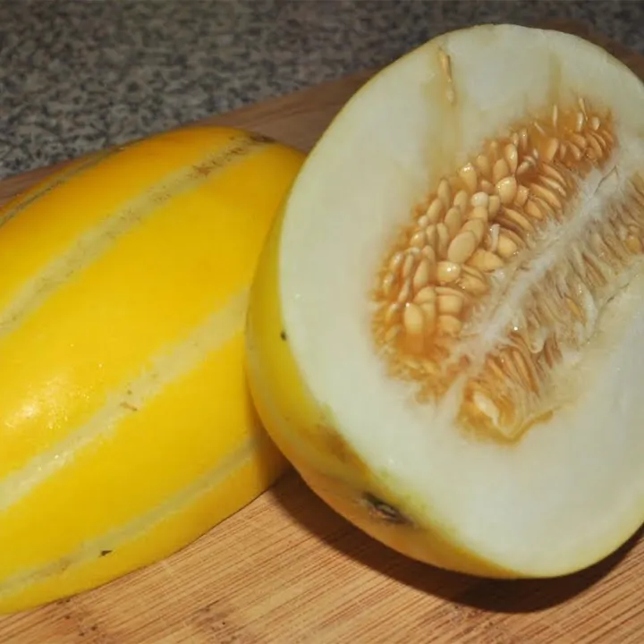 Progressive%20-%20Urban%20Vibes%20-%20"%20Muskmelon%20Fruit%20(Bangi)%20Seeds%20-%20(20%20Piece)"%20-%20Tools,%20DIY%20&%20Outdoor%20-%20Unrivaled%20in%20Genre%20-%20Excellent%20-%20Image%205