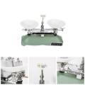 Lab Mechanical Balance 200g/0.2g Tray Scale with Weights Chemical Physics Laboratory Teaching Tool.