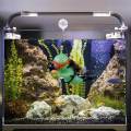 Miniature Diver Figure Playset Sea for Aquarium Decoration Party Favors Fish Tank.