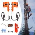 Tree Climbing Spikes Tree Climbing Gear for Fruit Picking Outdoor Sports. 