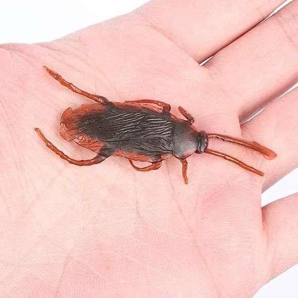 Funny%20toy%20Fake%20Cockroach%20Novelty%20Roaches%20Bugs%20Realistic%20Insects%20toy%20Prank%20Simulation%20Tricky%20Disgusting%20Scary%20Spoof%20toy%205%20pcs%20-%20Image%207