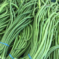 Hybride String Beans (Borboti)Seeds -30Pcs. 