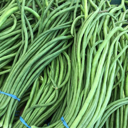 Hybride%20String%20Beans%20(Borboti)Seeds%20-30Pcs%20-%20Image%203