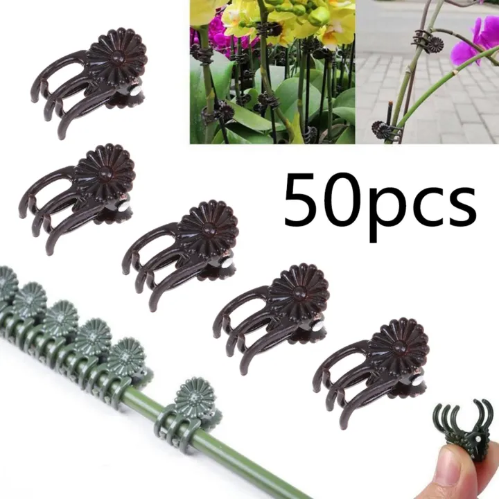 50Pcs%20Orchid%20Clips%20Garden%20Clips,%20for%20Backyard%20Garden%20Stem%20Vines%20Flower%20Orchid%20Stem%20-%20Image%205
