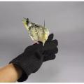 1 pair Anti-Bite Biteproof gloves for training your bird. 