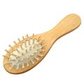 【Daily Necessities For Anyone Store】Air cushion massage comb Massage Wooden Comb Vent Brush Hair Care Beauty SPA Massager styling tools. 