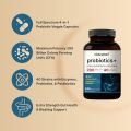 NatureBell Probiotics 200 Billion CFU Per Serving | 240 Veggie Capsules with Synbiotic Blend of Digestive Enzymes, Prebiotics, & Postbiotics – 40 Strains – Full-Spectrum Gut Health & Bloating Support. 