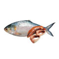 Fresh Hilsha Fish 900g (±50g) – Premium Quality. 