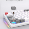 RK R87 ROYAL KLUDGE Wired Mechanical Keyboard 87 Keys RGB Backlit Hot Swap Gaming Keyboard Customised Keycaps with Dust Cover plug and play with computer or xbox or console. 