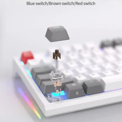 RK%20R87%20ROYAL%20KLUDGE%20Wired%20Mechanical%20Keyboard%2087%20Keys%20RGB%20Backlit%20Hot%20Swap%20Gaming%20Keyboard%20Customised%20Keycaps%20with%20Dust%20Cover%20plug%20and%20play%20with%20computer%20or%20xbox%20or%20console%20-%20Image%203