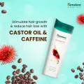 Himalaya Anti Hair Fall Shampoo-180 ml. 