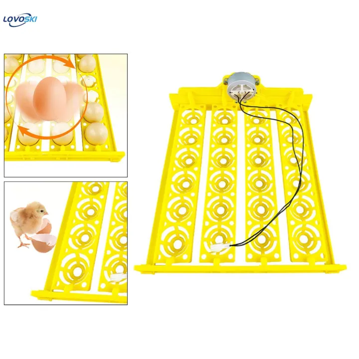 Automatic%20Egg%20Turner%20Tray%2024%20Eggs%20Egg%20Incubator%20Tray%20for%20Chicken%20Quail%20Goose%20DC%2012V%20-%20Image%206