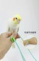Adjustable Bird Flying Leash - Ultra Light and Elastic Training Rope for Parrots and Cockatiels - Anti-Bite Outdoor Flight Traction Rope with Comfortable Wrist Strap - Pet Bird Training Harness. 