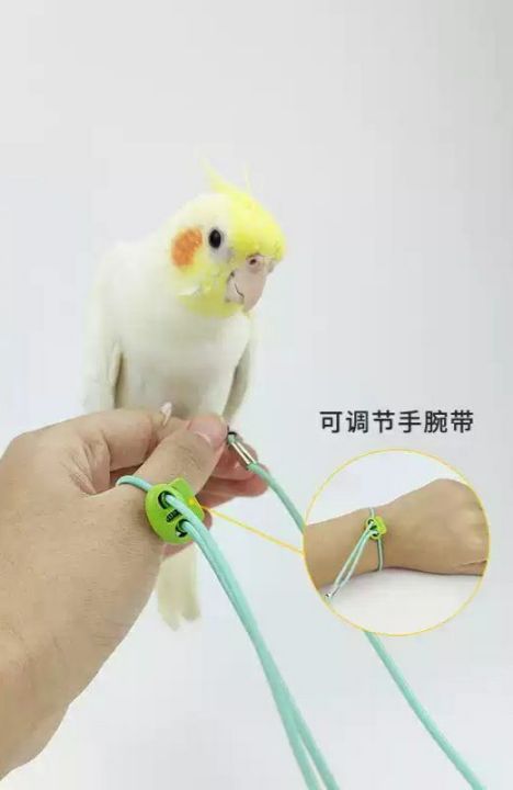 Adjustable%20Bird%20Flying%20Leash%20-%20Ultra%20Light%20and%20Elastic%20Training%20Rope%20for%20Parrots%20and%20Cockatiels%20-%20Anti-Bite%20Outdoor%20Flight%20Traction%20Rope%20with%20Comfortable%20Wrist%20Strap%20-%20Pet%20Bird%20Training%20Harness%20-%20Image%202