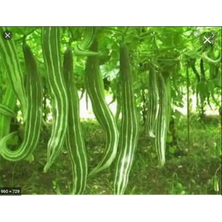 Yosh mushuklarning porno fotosuratlarini tomosha qiling