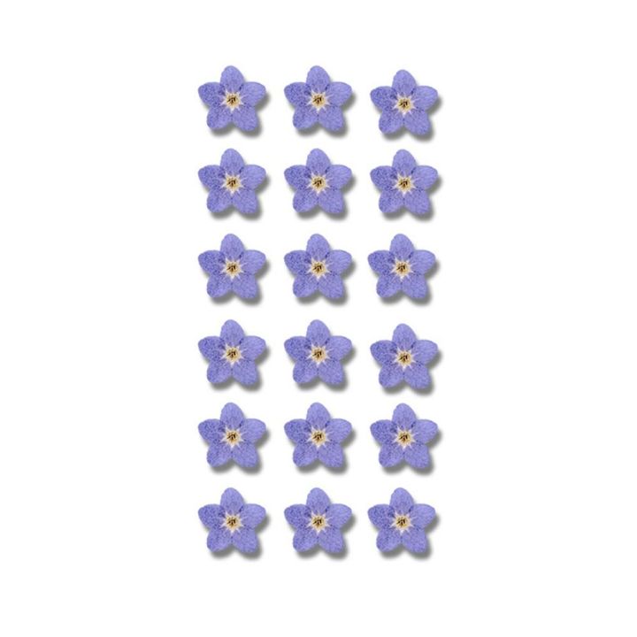 20%20PCS%20DIY%20Dried%20Flowers%20Elegant%20Beautiful%20Artificial%20Forget-Me-Not%20Simple%20Creative%20Pressed%20Flower%20Decoration%20-%20Image%207