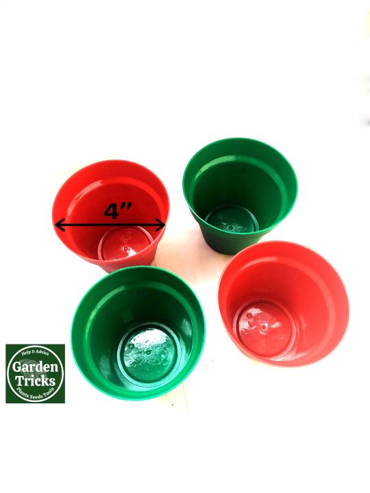 4 pcs 4"  Pot Planter Tree Tob