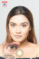Angel Soft Fay Brown Contact Lens Angel Soft Color Contact Lenses & Combo set(solution,travel kit box, tweezer & applicator) from protected view for everyday wear with stylish contact lenses #FayBrown. 