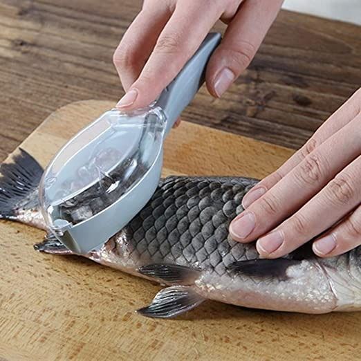 Dream%20Paradise%20%20Fish%20Cleaning%20Peeler%20Scaler%20Scraper%20kitchen%20cooking%20tool%20-%20Image%203