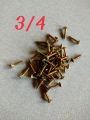 Screw Star Golden 3/4 - 25 Pics. 