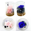 Migeet Preserved Re-al Rose Flower Eternal Rose in Glass Scented fo-rever Rose Flower Present for Women Mother's Day Valentine Romantic Wedding Home Party Festivals Anniversary Christmas Eve. 