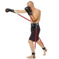 1 Set Resistance Band Boxing Muay Training Stretching Strap Set Gym Workout Fintess Exercises Waist Leg Strength Training BeltFitness Accessories.