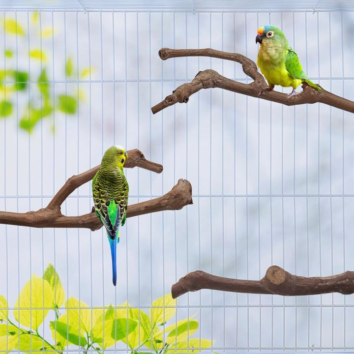 5PCS%20Bird%20Perch%20Natural%20Wood%20Grape%20Stick%20Stand,%203%20Grape%20Stick%20Paw%20Grinding%20Fork%20Parakeet%20Chewing%20Stick%202%20Parrot%20Stand%20Branch,%20Chewing%20Exercise%20Branches%20Bird%20Cage%20Accessories%20-%20Image%206