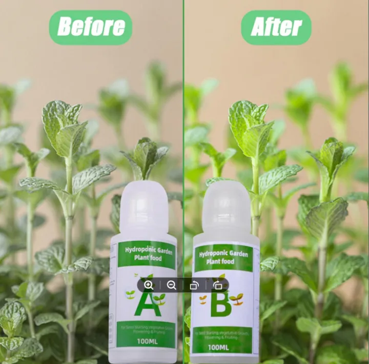 Liquid%20Fertilizer%20AB%20Two%20Part%20Set%20Liquid%20Hydroponic%20Garden%20Plant%20Food%20Plant%20Fertilizer%20for%20All%20Plants%20Flowers%20Vegetables%20Grass%20-%20Image%203