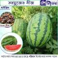 Watermelon Seed - 05/10/15 pcs F1 Hybrid All Season Seed - বারমাসি তরমুজের বীজ সবুজ রঙ. 