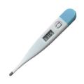 Digital Thermometer.