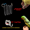 Chain Harness Leash & anklet ring {combo pack} for ringneck parrot 7mm size. 