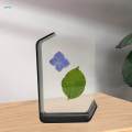 Pressed Dried Flower Frame Picture Frame Gifts Acrylic Photo Frame Stand for Fireplace Hallway. 