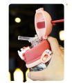 Children's cartoon straw with handheld teapot for elementary school students, water absorbent, fall protection 500ml Number Plastic Kids Water Bottle/Mom pot -1pcs. 