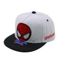 Disney Anime Cartoon Spiderman Kids Hats Toddler Baby Baseball Cap Autumn Spring Children's Snapback Hip Hop Caps For Boys Girls. 