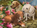 100 Pieces Jigsaw Puzzle Assembling Picture Dog Animals Decompression Puzzles Toy for Adult Children Kids Educational Gifts MuXiaRe. 