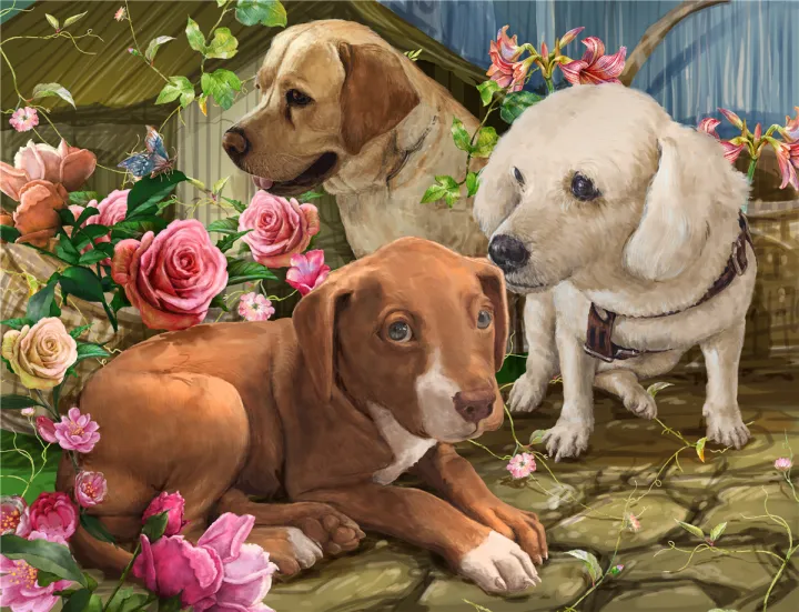 100%20Pieces%20Jigsaw%20Puzzle%20Assembling%20Picture%20Dog%20Animals%20Decompression%20Puzzles%20Toy%20for%20Adult%20Children%20Kids%20Educational%20Gifts%20MuXiaRe%20-%20Image%205