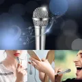 Stereo Mic for Phone Asmr Microphone KTV Microphone Handheld Portable Instrument Microphone Tiny Microphone. 