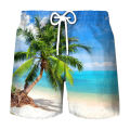 Coconut Tree Graphic Surfing Board Shorts Pants Men 3D Print Tropics Sea Island Beach Shorts Hawaii Swimsuit Ice Shorts Swimwear.