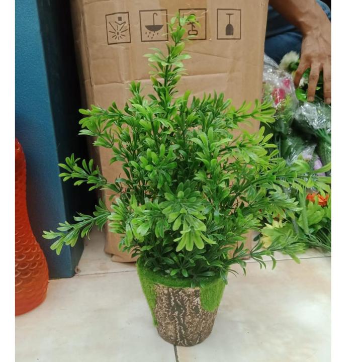 Artificial Plastic Plant Tree -23 - Home Decoration Item - Home Decoration Item