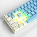 MageGee TS91 60% Mini Membrane USB Keyboard, 61 Key Wired RGB Backlit Gaming Office Computer Keyboard for Windows/Mac. 