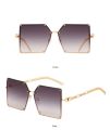 Women's Oversized Irregular Square Sunglasses Fashion Trend Casual Elegant Frame Female.