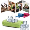 [24Hs Delivery] Ice Cold Instant Cooling Towel Running Sports Yoga Summer. 