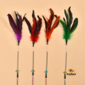 New Cat teasing spring stick toys with feather tease cat and kitty.