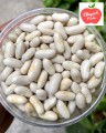 White Kidney Beans (Rajma) 500 gm. 