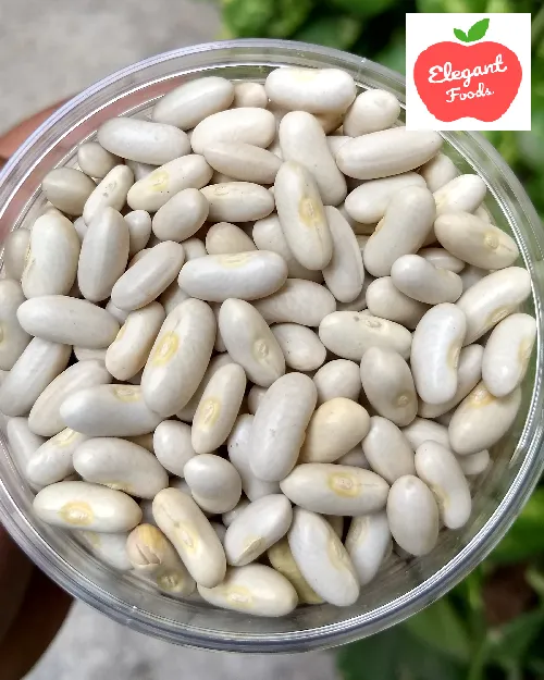 White%20Kidney%20Beans%20(Rajma)%20500%20gm%20-%20Image%204