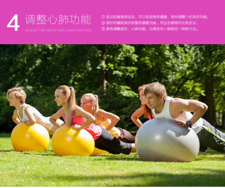 Gym%20Exercise%20Ball%20with%20Pumper%20For%20Body%20Fitness%20yoga%20Ball%20(75%20cm)-%20Premium%20Quality%20-%20Image%203