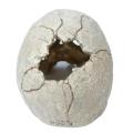 Creative Exotic Environments Human Skull Aquarium Ornament Home Office Decor. 
