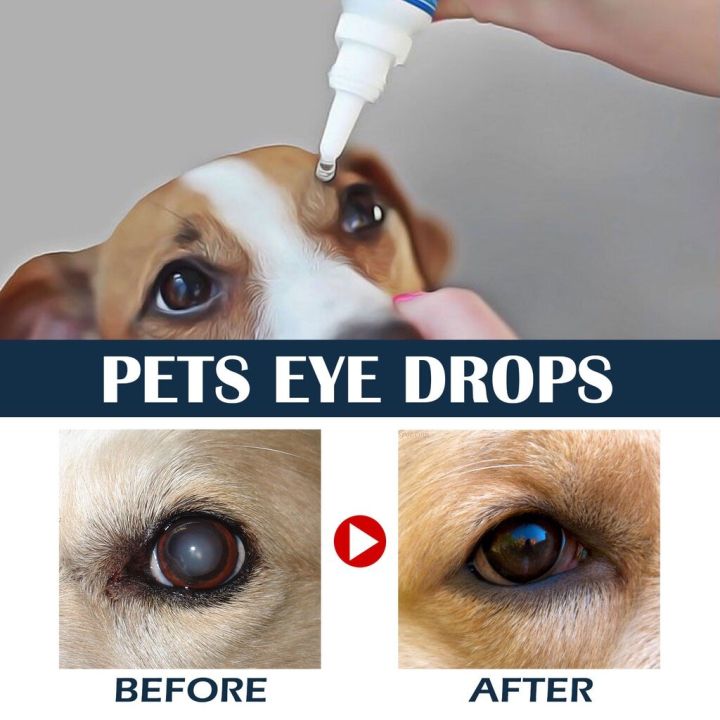 Cataract%20Drops%20For%20Pets,%20Therapeutic%20Eye%20Lubricating%20Drop%20For%20Dog%20Cats,%20Improve%20Vision%20Clarity,%20Health%20Dryness%20-%20Image%203