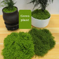 【Exclusive Offer】 100g Home Decor Simulated Moss Turf Biomimetic Artificial Moss Garden Micro Landscape Layout Ornaments Lawn Bonsai.