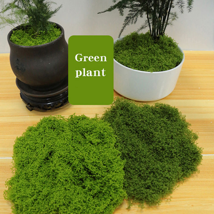 %E3%80%90Exclusive%20Offer%E3%80%91%20100g%20Home%20Decor%20Simulated%20Moss%20Turf%20Biomimetic%20Artificial%20Moss%20Garden%20Micro%20Landscape%20Layout%20Ornaments%20Lawn%20Bonsai%20-%20Image%202